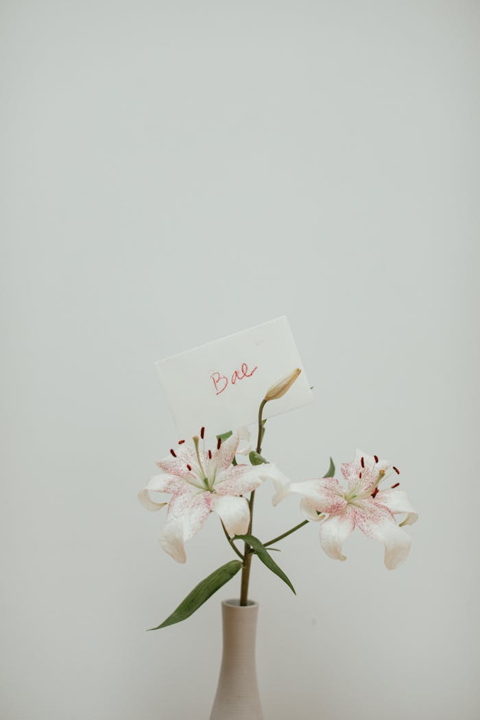 White Orchids in a Vase with a Message