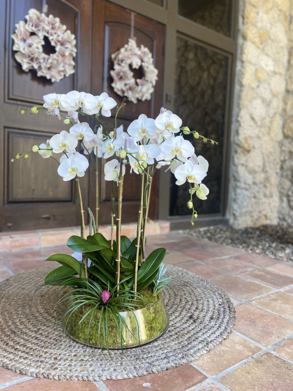 Your Blooming Hub for All Things Orchids and Floral Gifts