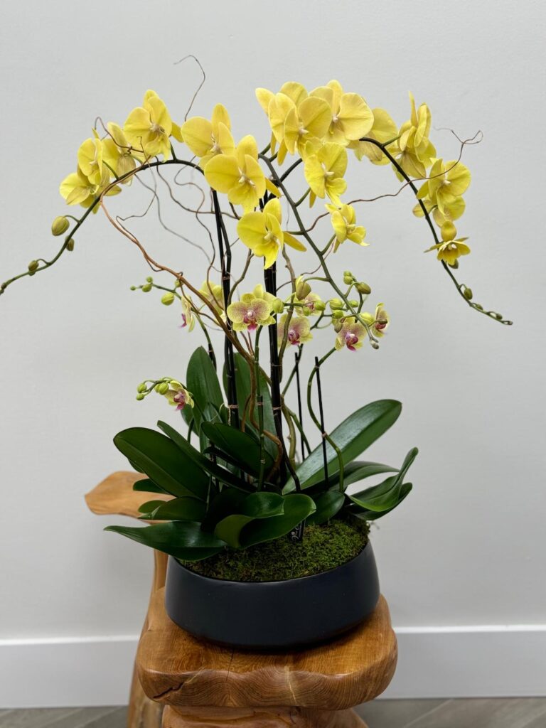 Valentine’s Day Gift for mother