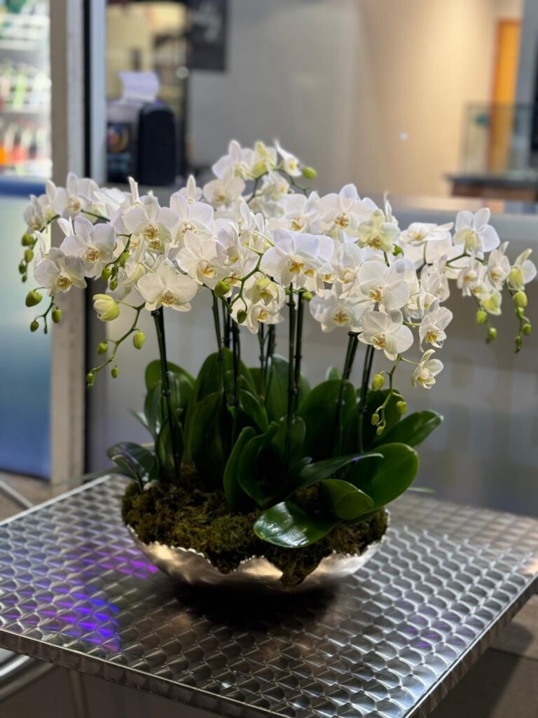 Valentine’s Day Gift for mother