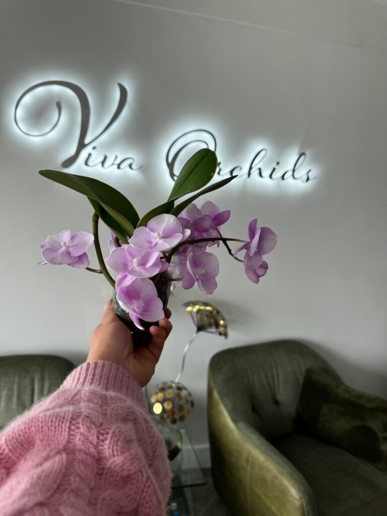 Valentine’s Day Gift for mother