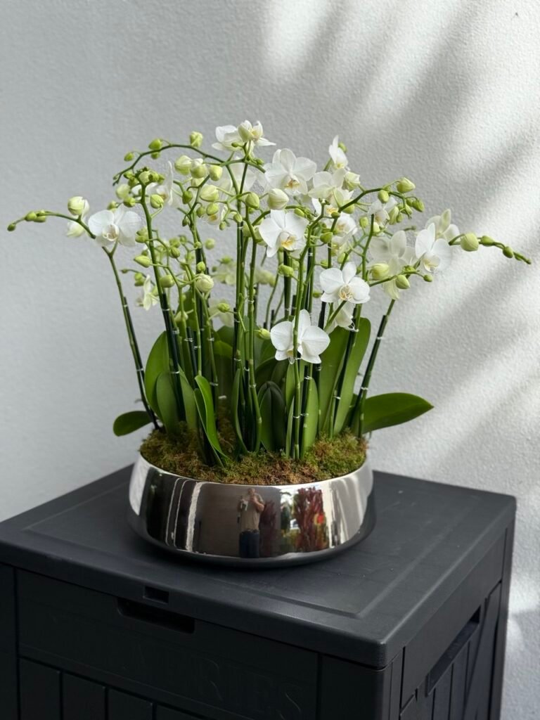 The Flowers She Actually Wants This Mother's Day